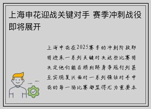 上海申花迎战关键对手 赛季冲刺战役即将展开